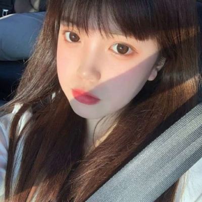 黎明之地手游下载