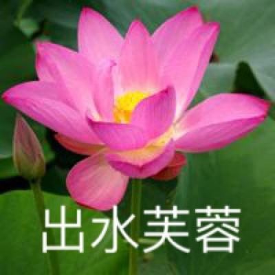 西行九歌官方版下载